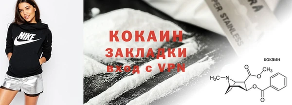 дмт Пестово