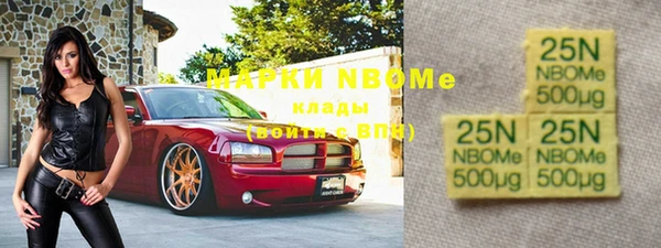 дмт Пестово