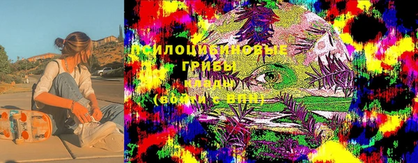 гидропоника Пересвет