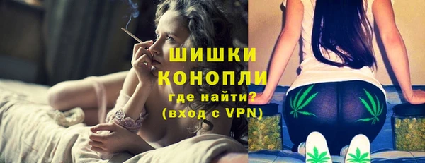 дмт Пестово