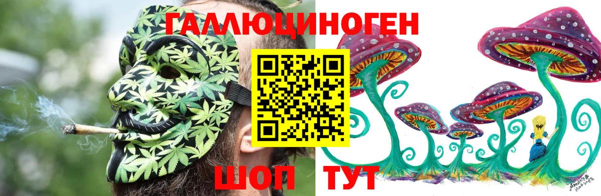 где найти   Галлюциногенные грибы мицелий  Переславль-Залесский  Вход с VPN  Галлюциногенные грибы мухоморы 